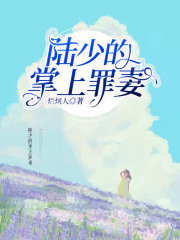 陸少的掌上罪妻