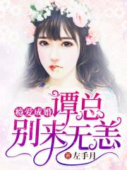 癮愛成婚：譚總，別來無恙