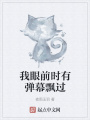 我眼前時有彈幕飄過