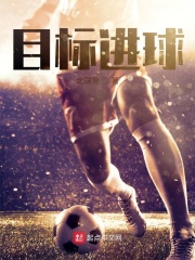 目標(biāo)進(jìn)球