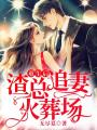 重生后，渣總追妻火葬場