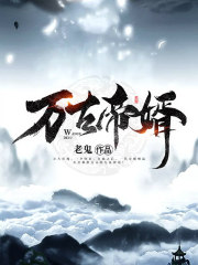 万古帝婿（袁斩空）在线免费阅读-瑞奇文学