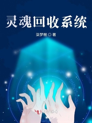 靈魂回收系統
