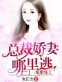一紙婚寵：總裁嬌妻哪里逃