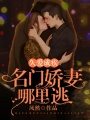 名門甜妻哪里逃