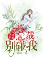 一孕雙寶：總裁爹地好歡喜