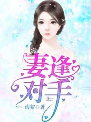 妻逢對手