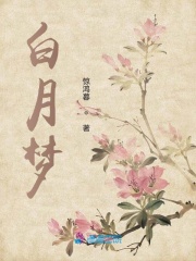 白月夢
