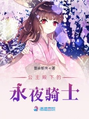 公主殿下的永夜騎士
