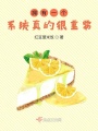 擁有一個系統真的很重要