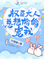 權臣大人總想偷偷寵我