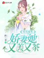 年代重生：嬌妻她又美又茶