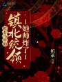 披著馬甲的鎮(zhèn)北統(tǒng)領她帥炸了