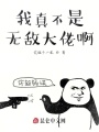 我真不是無敵大佬啊