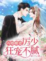 閃婚嫩妻：厲少狂寵不膩