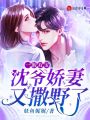 一胎雙寶：沈爺嬌妻又撒野了