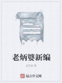老炳婆新編
