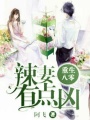 重生八零：辣妻有點(diǎn)兇！
