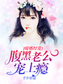 暖婚厚愛：腹黑老公寵上癮