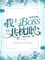 快穿攻略：我與boss共枕眠