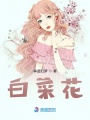 白菜花