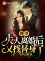 傅爺，夫人離婚后又找替身了
