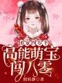 團(tuán)寵四歲半：高能萌寶闖八零