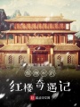 假雨村的紅樓奇遇記