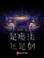 是魔法還是劍