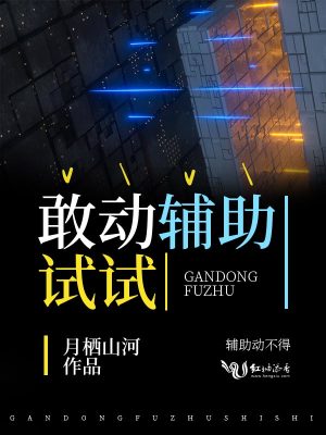 敢動輔助試試