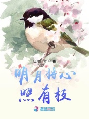 明月將心照有枝