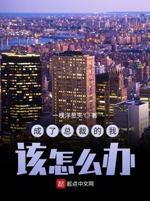 成了總裁的我該怎么辦