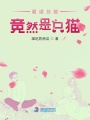 霸道總裁竟然是只貓