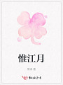 惟江月