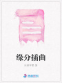 緣分插曲