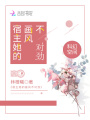 宿主她的畫風(fēng)不對勁