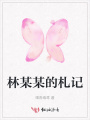 林某某的札記