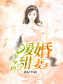 聿少的暖婚甜妻