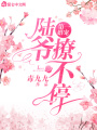 第一婚寵：陸爺，撩不停！