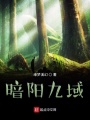 暗陽(yáng)九域