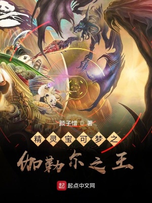 精靈寶可夢之伽勒爾之王