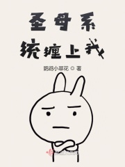 圣母系統纏上我