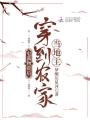 屯滿物資后穿到農家當地主