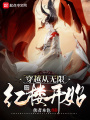 穿越從無限紅樓開始