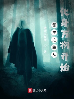 領主之路從化身萬物開始