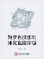 做夢也沒想到睡覺也能穿越