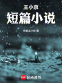 王小京短篇小说