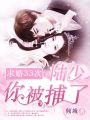 求婚33次：陸少，你被捕了！