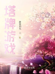 塔牌游戲