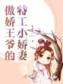 傲嬌王爺的特工小嬌妻